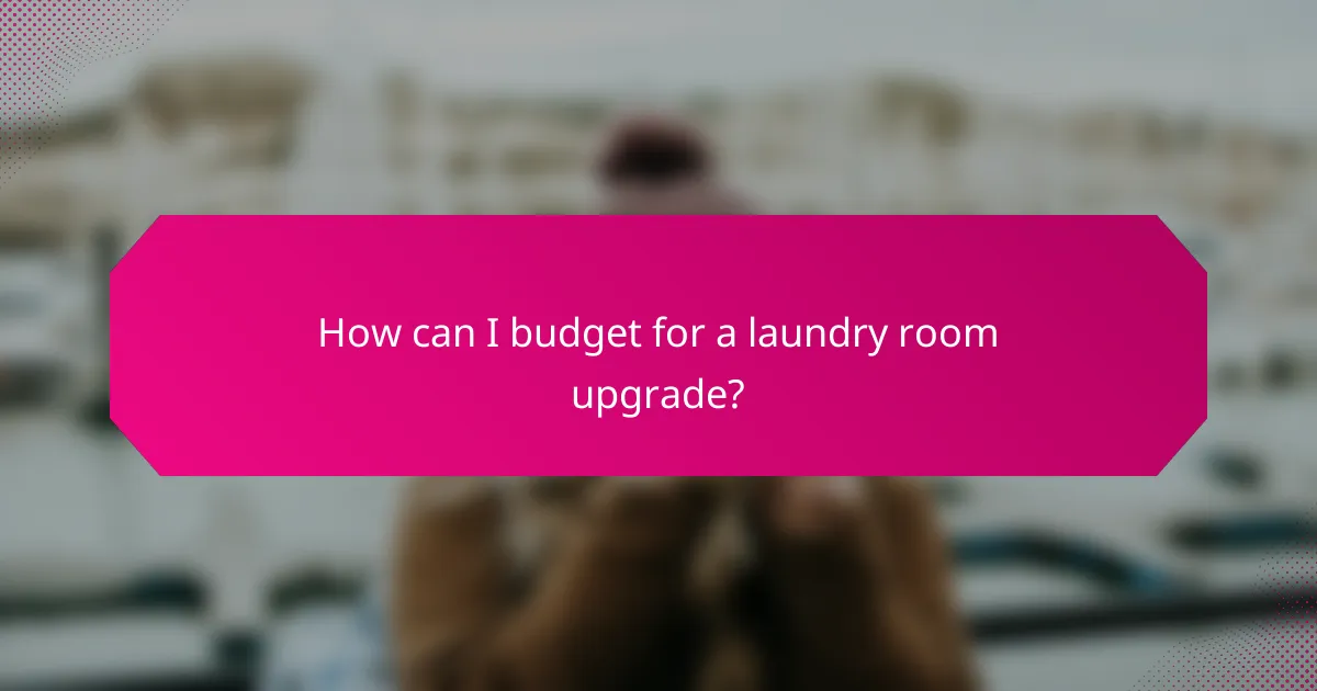 How can I budget for a laundry room upgrade?